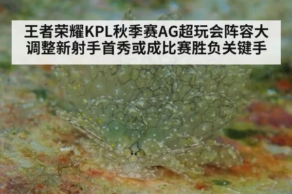 王者荣耀KPL秋季赛AG超玩会阵容大调整新射手首秀或成比赛胜负关键手